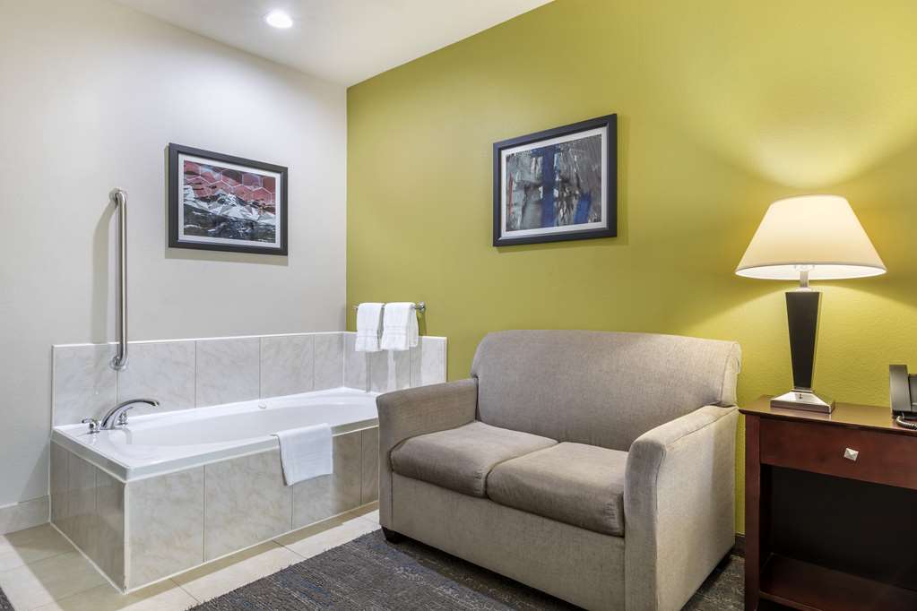 Best Western Plus Mansfield Inn & Suites - photo 32