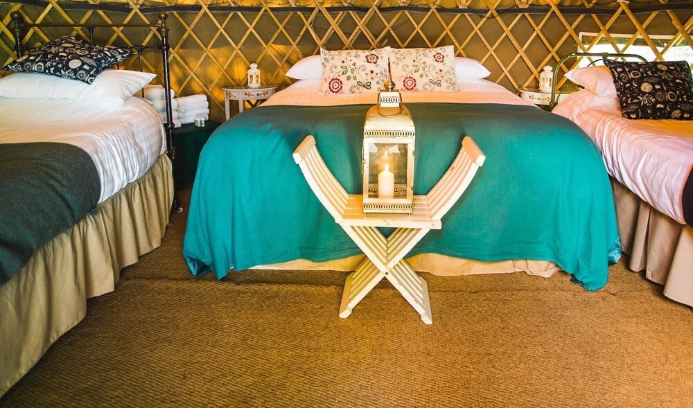 Yew Yurt in Drogheda, Republic of Ireland