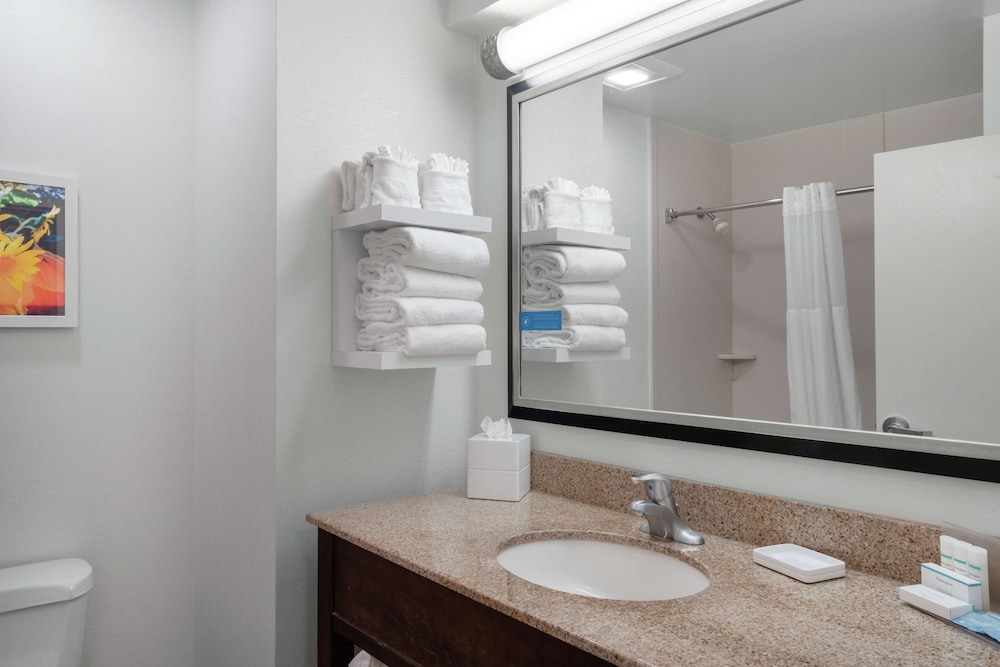 Hampton Inn & Suites Nashville Franklin - photo 20