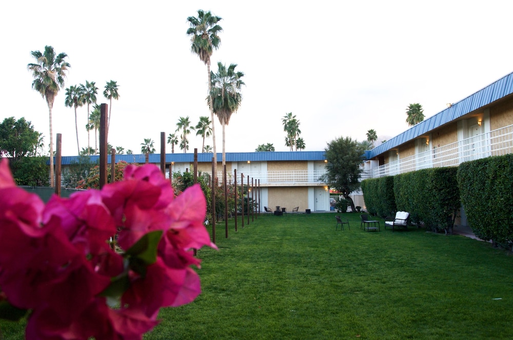 Delos Reyes Palm Springs - photo 39