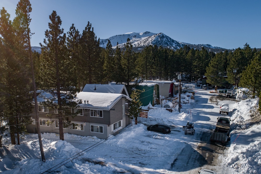 Cinnamon Bear Inn - photo 124