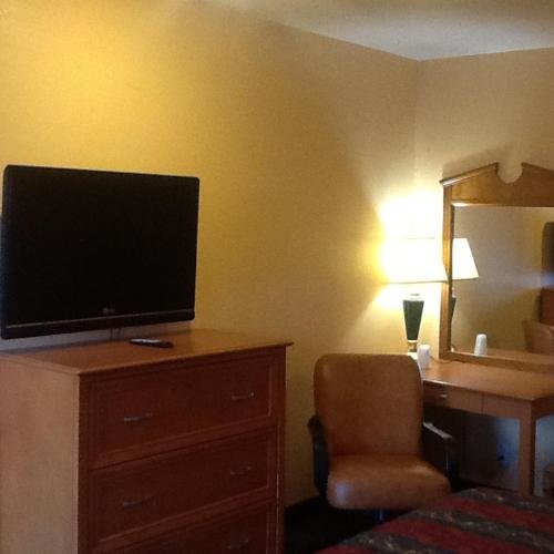 Palm Tree Inn - photo 4