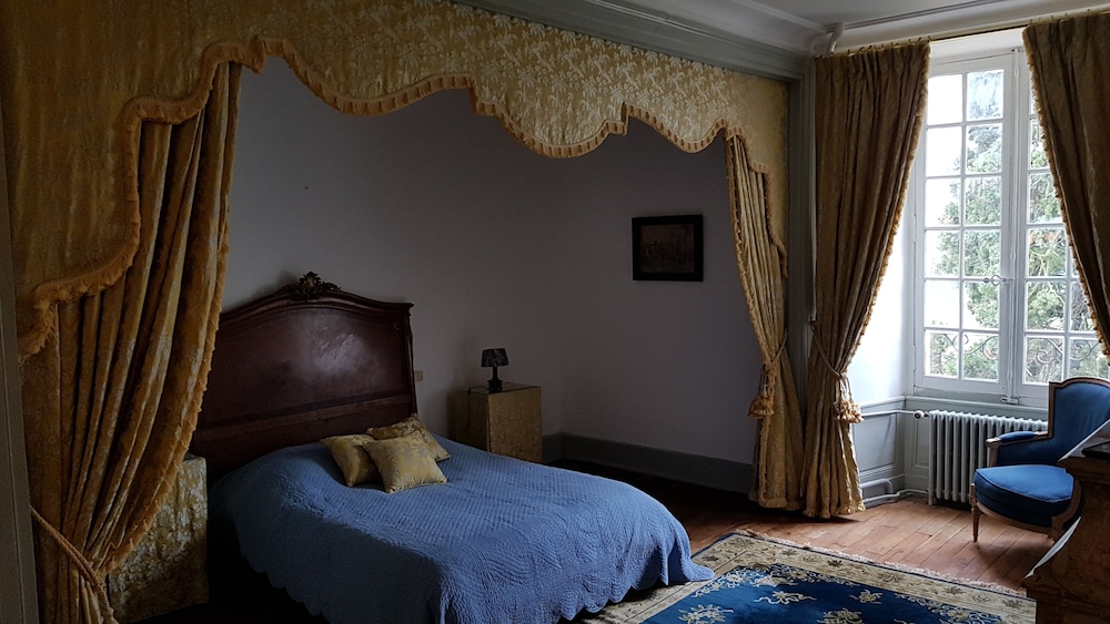 Château de Basché — Richelieu — photo 3