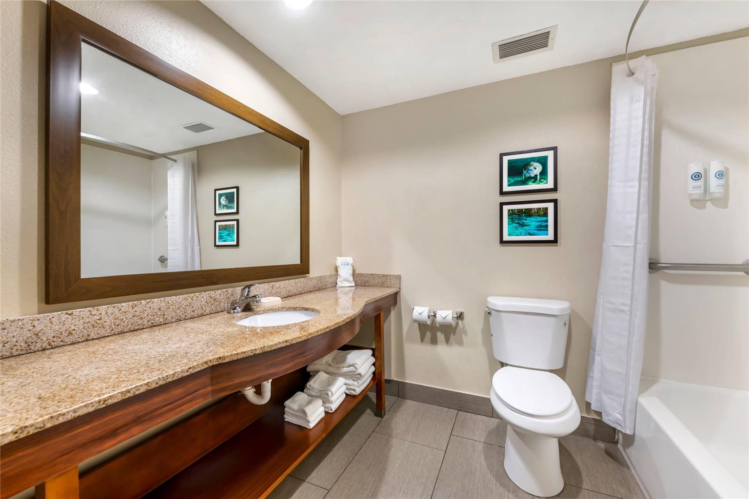Comfort Inn & Suites Wildwood The Villages - photo 16