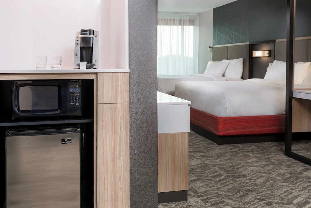 SpringHill Suites by Marriott Lakeland - photo 16