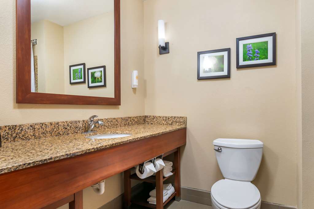 Comfort Suites Manhattan - photo 10