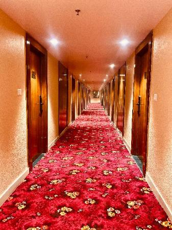 Hotel Palm Pacific in Kota, India