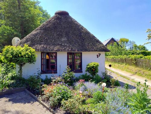 Unser Froschhaus - last minute hotel in Unknown City