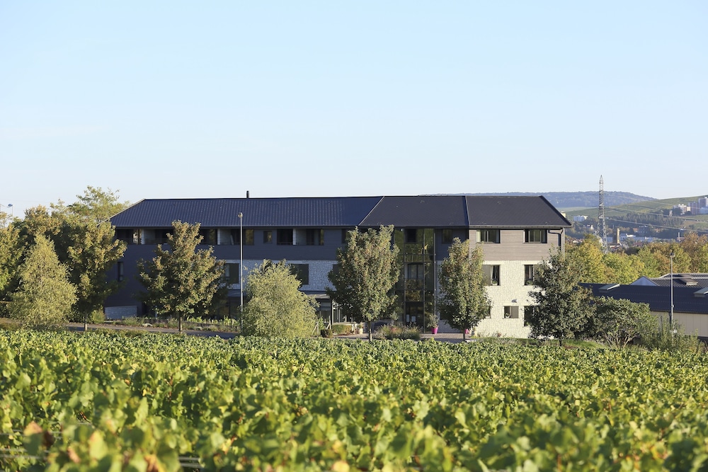 Les Grains Dargent — Dizy