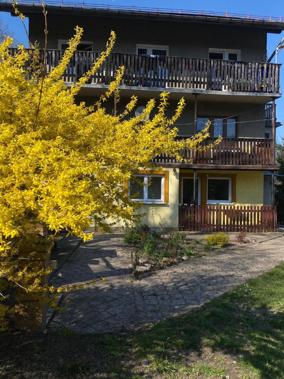 Pokoje Gościnne Kurza Zagroda — Jelenia Gora — photo 4