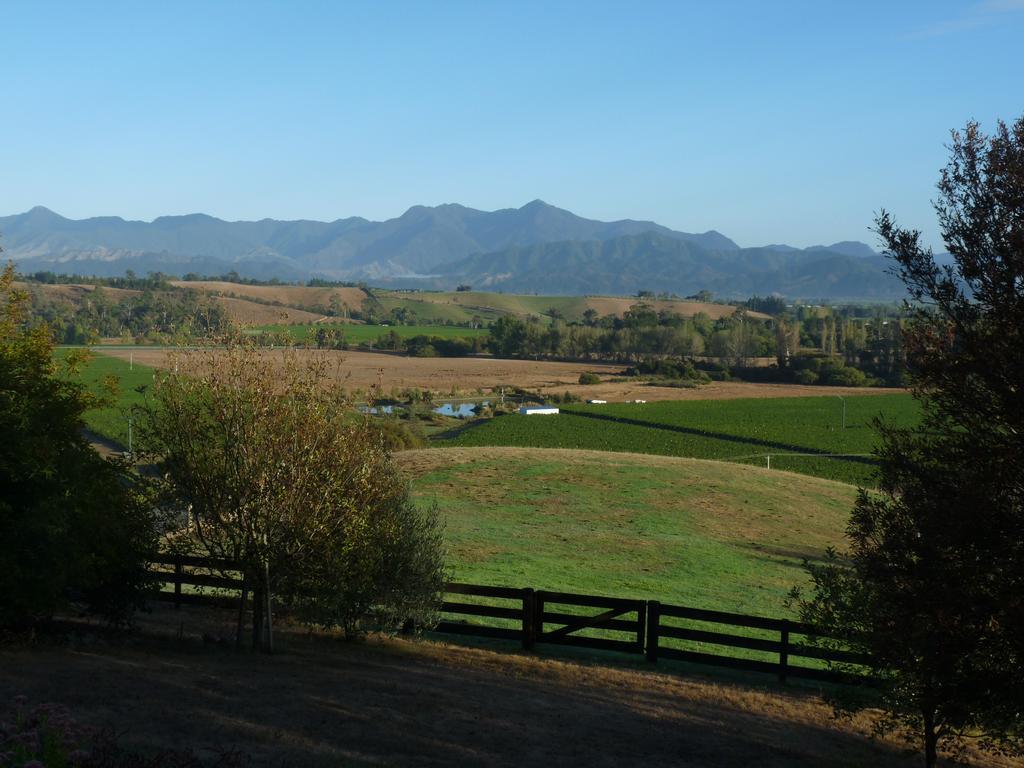 Omaka Heights