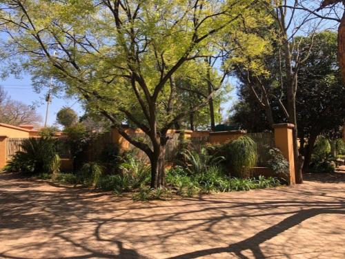 Eliora — Randfontein — photo 2