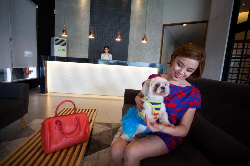 The Cirque Serviced Residences in Quezon, Philippines