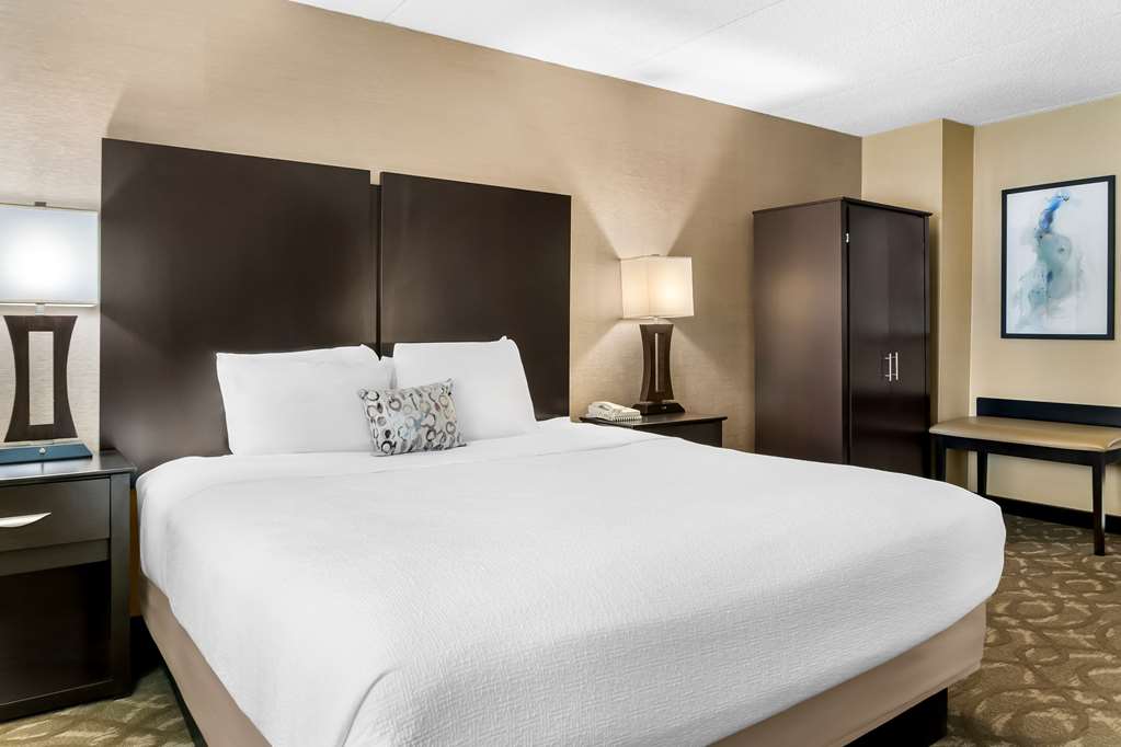 Best Western Okemos East Lansing Hotel & Suites - photo 20