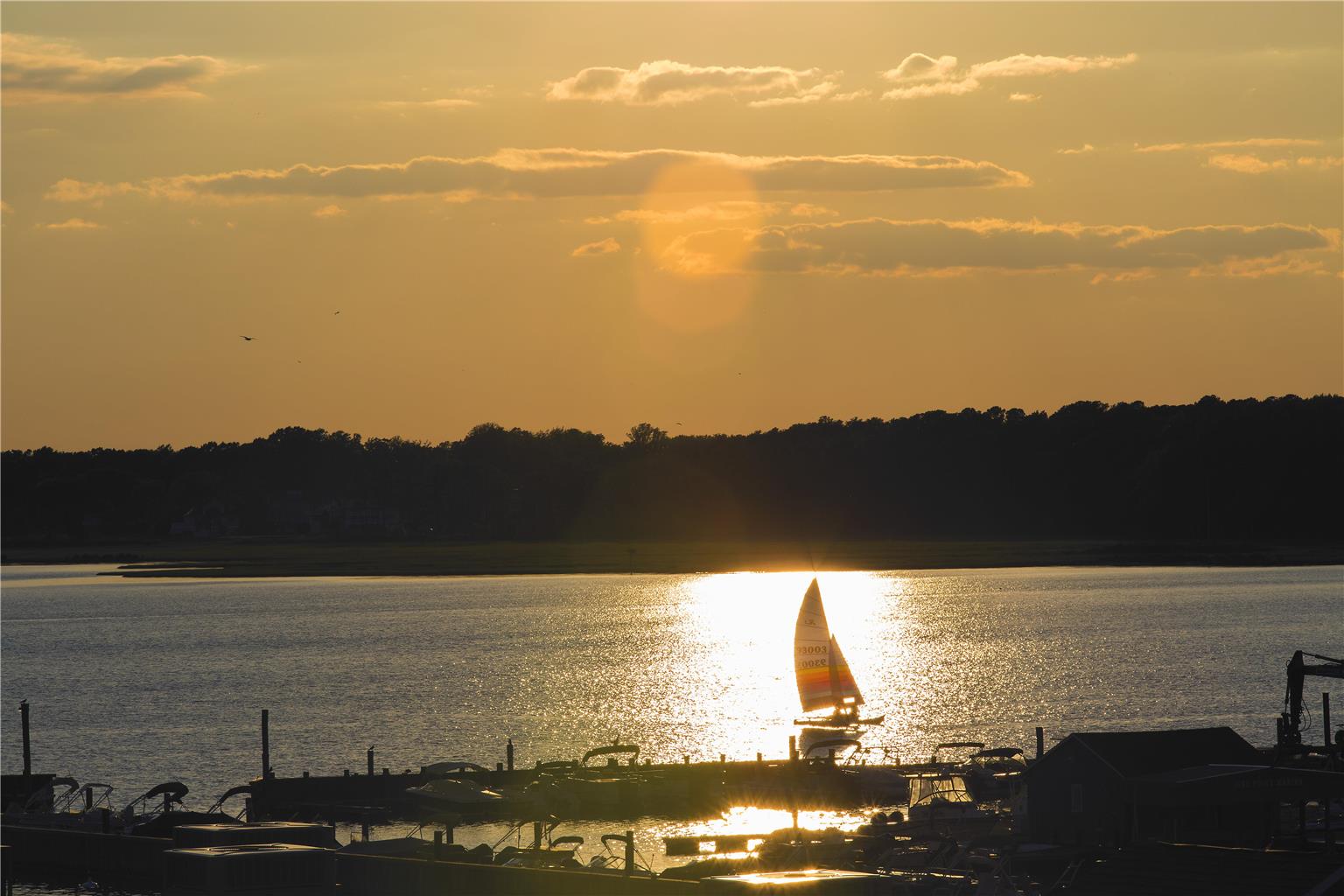 Hyatt Place Dewey Beach - photo 13