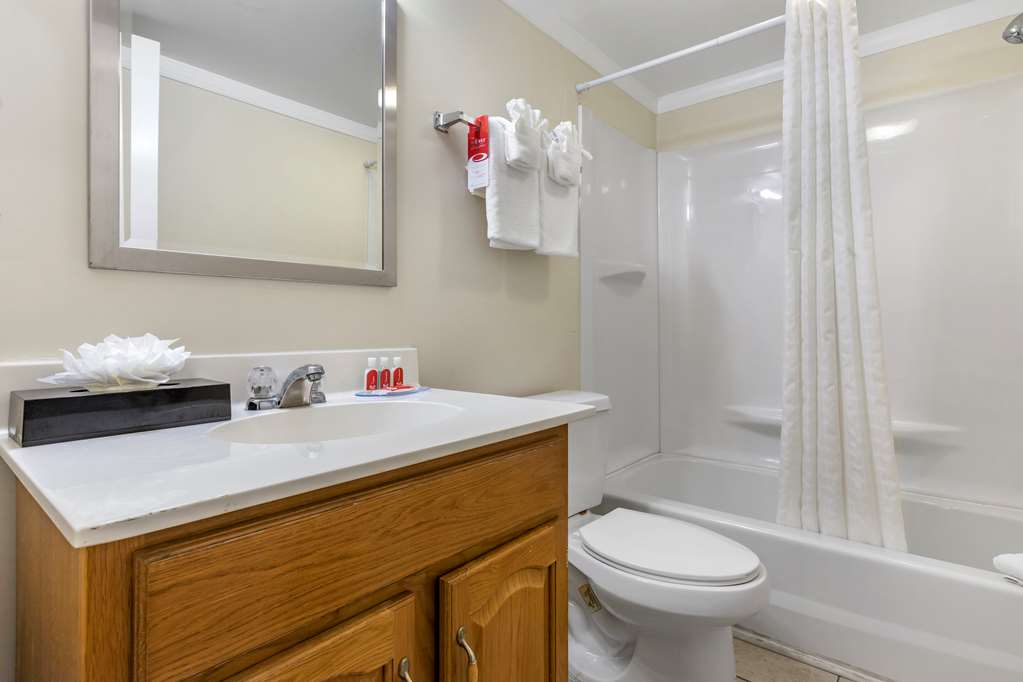 Econo Lodge Conway Central - photo 8