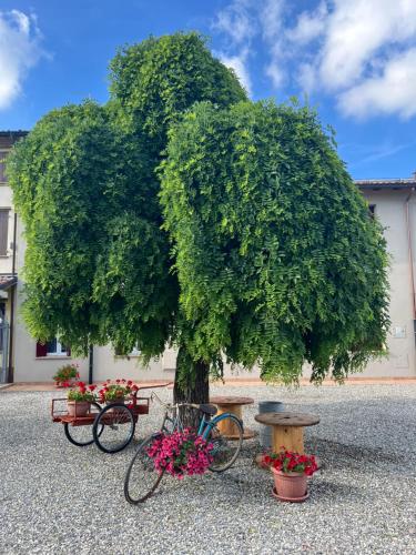 Pitaciò Affittacamere - carbon neutral hotel in Unknown City