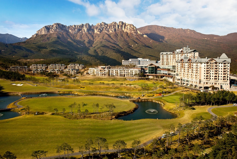 Del Pino in Goseong, South Korea