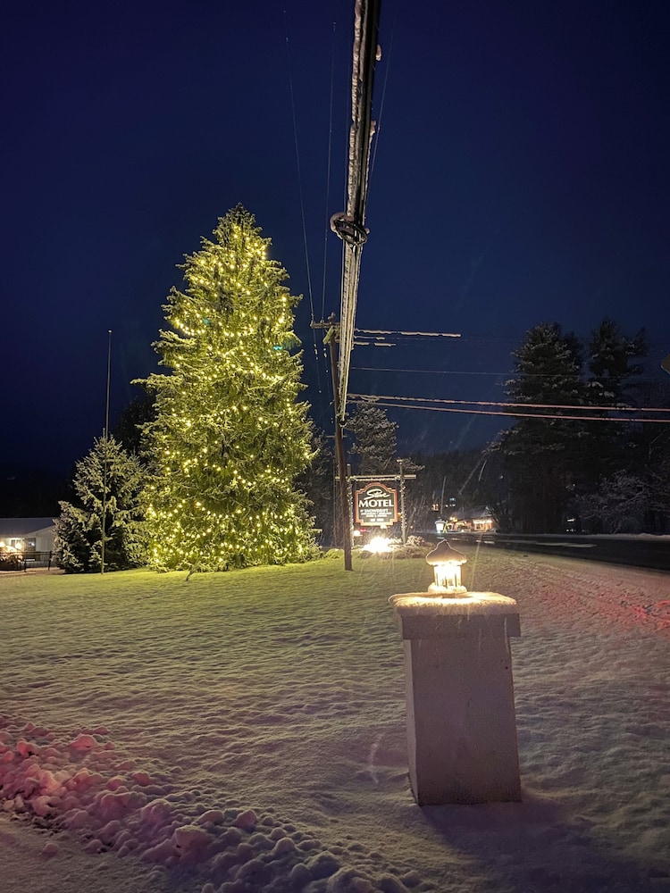 Stowe Motel & Snowdrift - photo 26