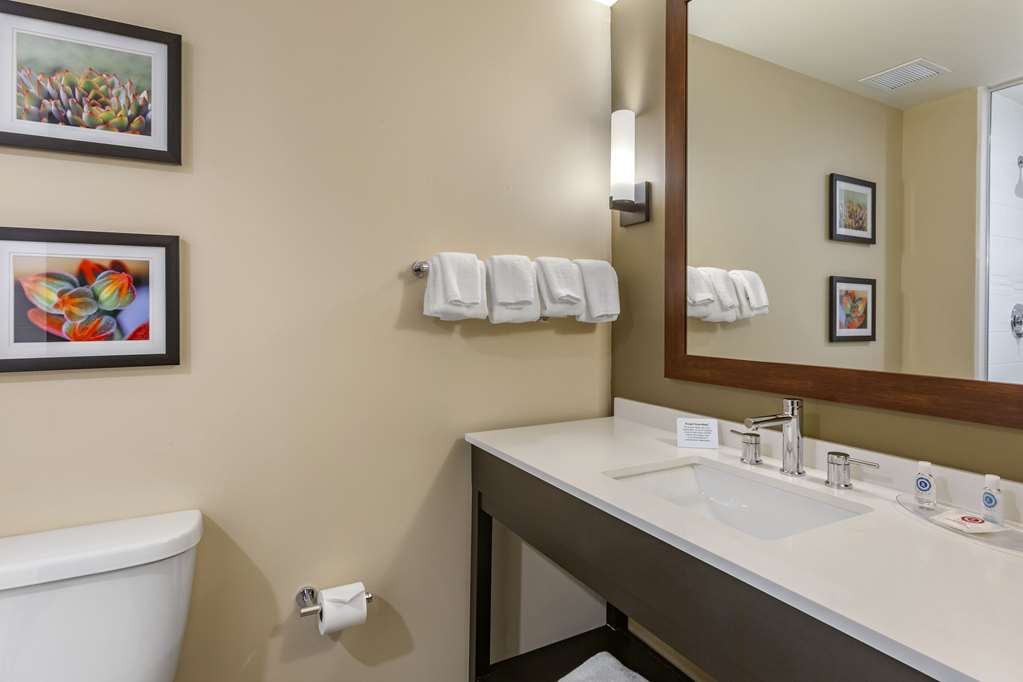 Comfort Suites Albuquerque Airport - photo 9