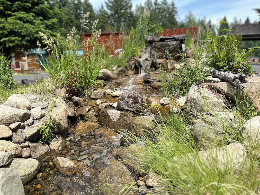 Packwood Lodge - photo 101