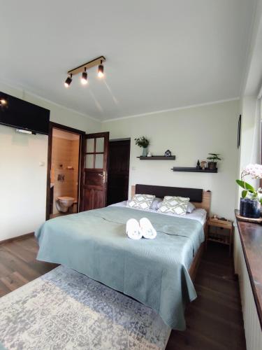 Willa Lano in Bialy Dunajec, Poland