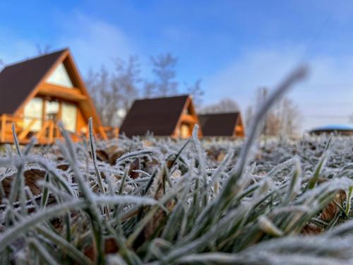 Casute in copac & Case A frame — 4-Star Luxury Hotel in Agnita, Romania