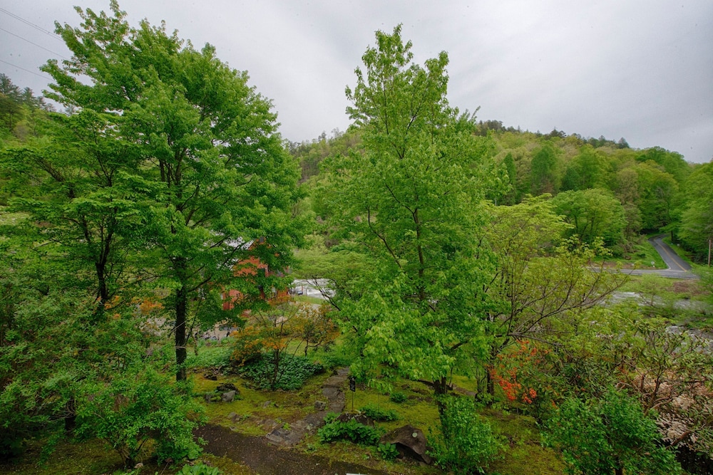 Historic Tapoco Lodge Resort - photo 133