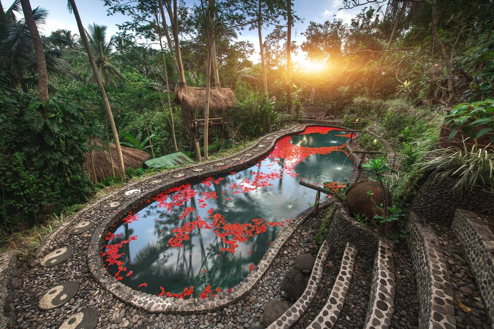 Bali Dacha - carbon neutral hotel in Ubud