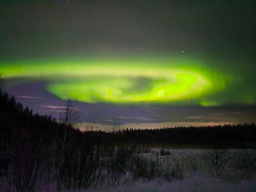 Holmens Boende och Event — Lulea — photo 3