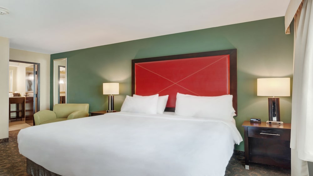 Crowne Plaza Houston Galleria Area by IHG - photo 20