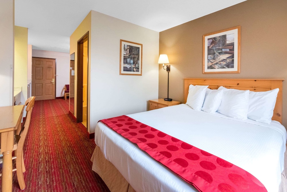 Comfort Inn & Suites Summerset Black Hills Area - photo 14