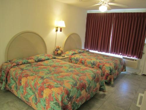 Apollo Resort Motel - photo 56