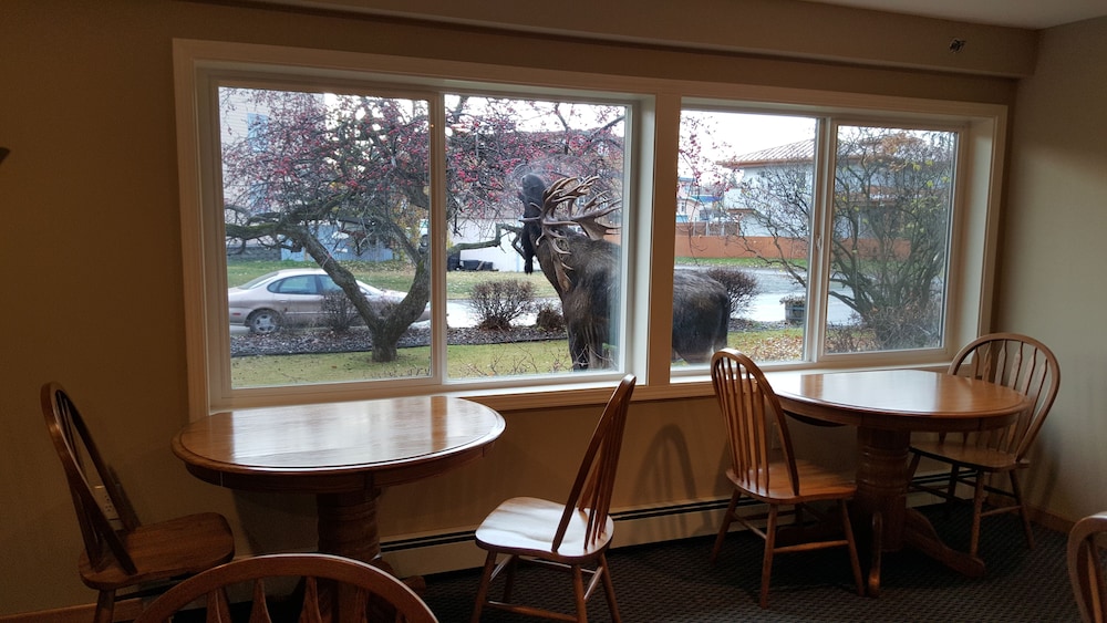 Lakeshore Inn & Suites - photo 36