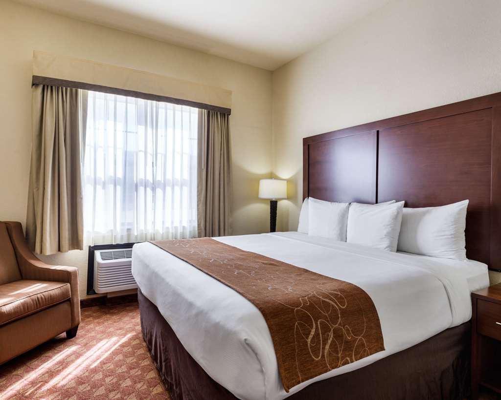 Comfort Suites near NASA Clear Lake - photo 13