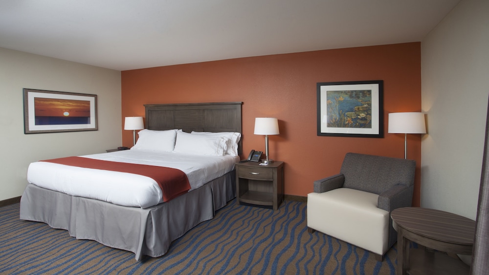 Holiday Inn Express Hotel & Suites Morgan City Tiger Island by IHG - photo 11