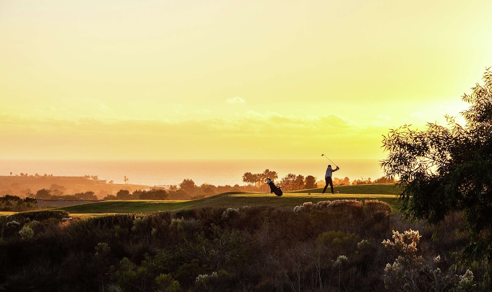 The Cassara Carlsbad Tapestry Collection by Hilton - photo 81