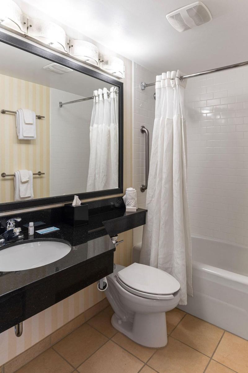 Chester Inn & Suites - photo 7