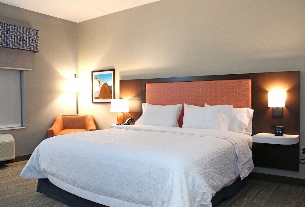 Hampton Inn Buffalo Amherst NY - photo 6