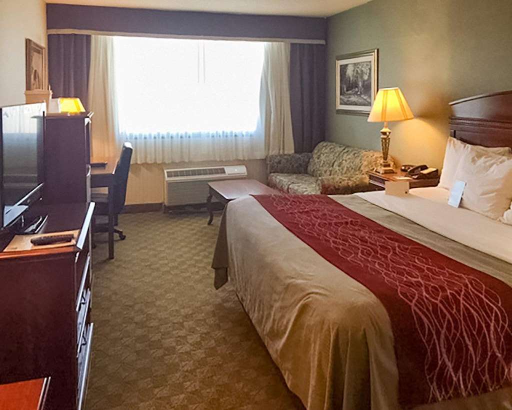 Comfort Inn Springfield - photo 10