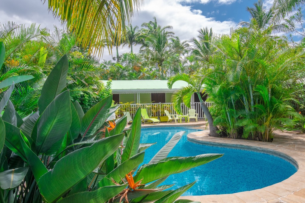 Baobab Et Palmiers in Saint-Leu, Réunion