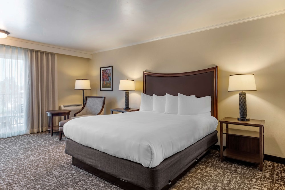 Best Western Plus Royal Oak Hotel - photo 6