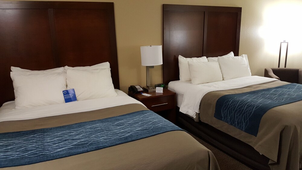 Comfort Inn & Suites Near University of Wyoming - photo 10