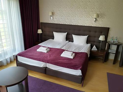 Hotel Oriza — hotel in Gdow
