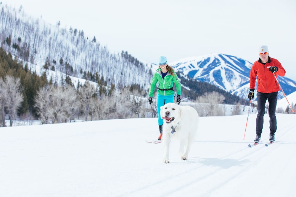 Sun Valley Inn - photo 121