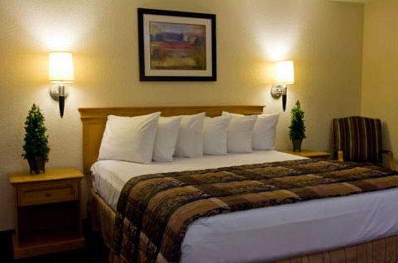 Ramada San Diego Mission Valley - photo 11