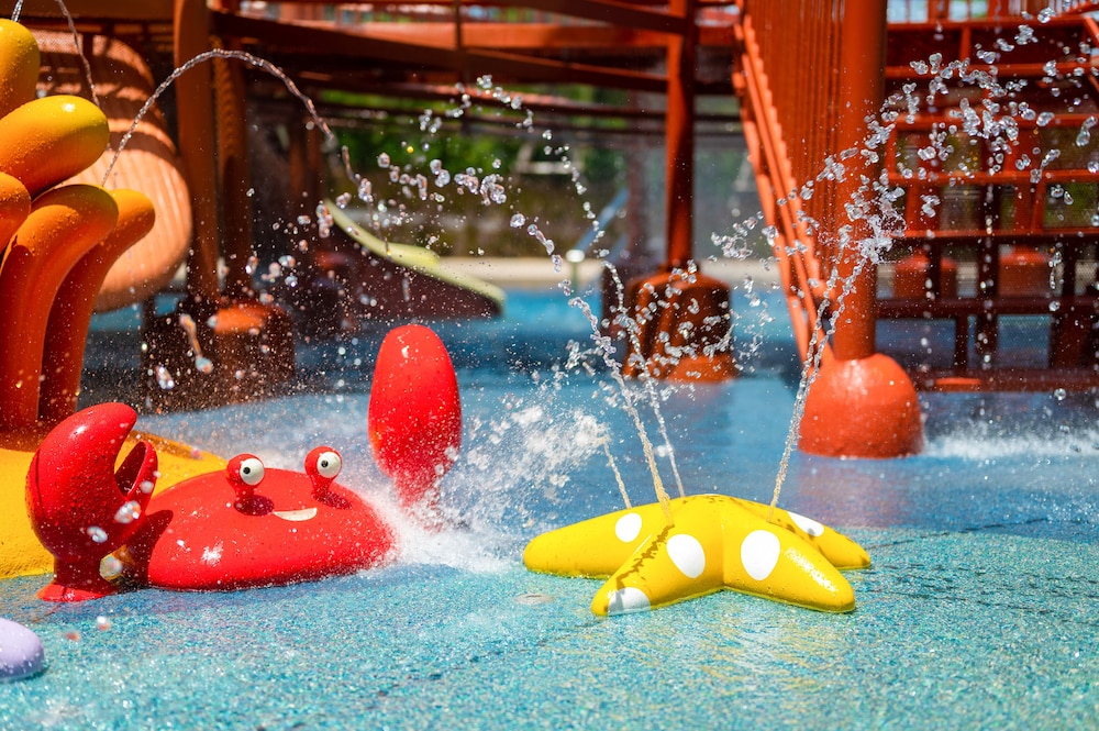 מראה חיצוני