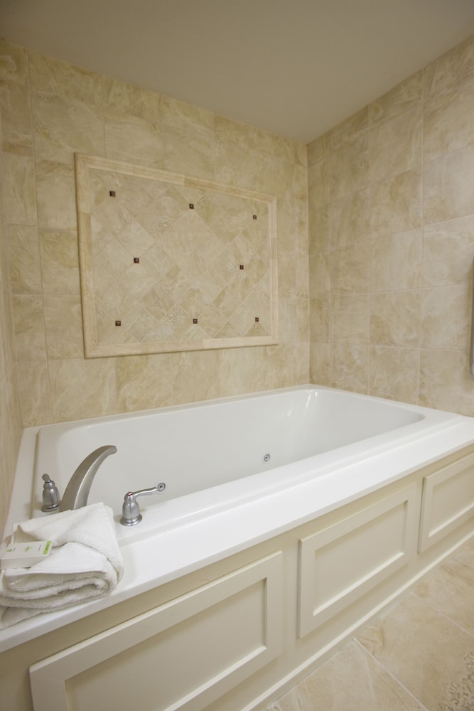 Embassy Suites Buffalo - photo 28