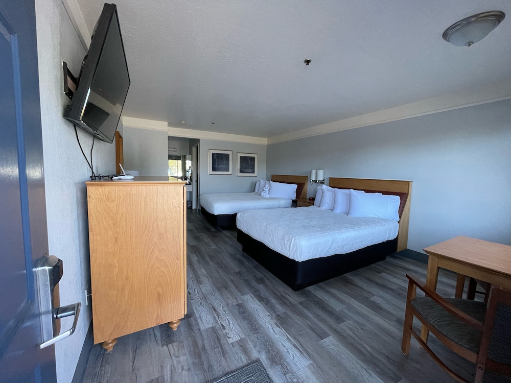 Seabird Lodge - photo 14