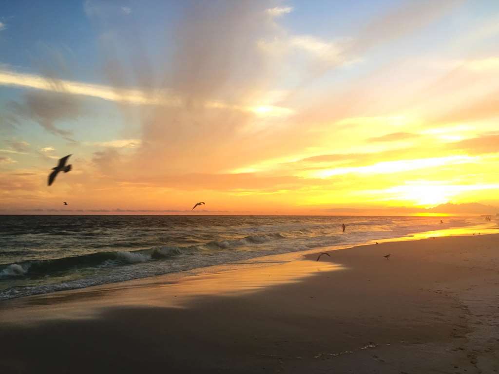 The Henderson Beach Resort & Spa - photo 27
